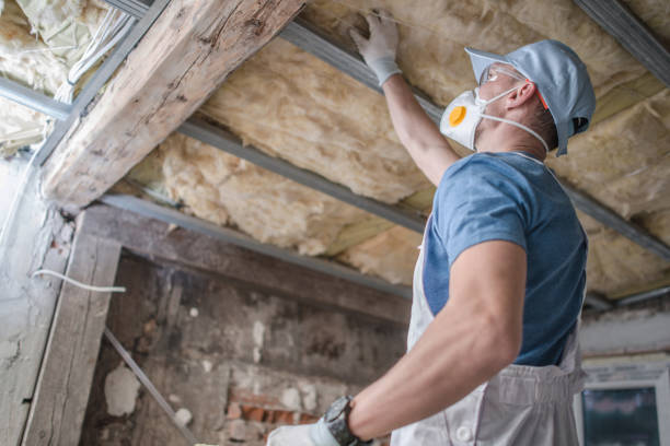 Best Insulation Maintenance and Repair in Glasgow, MT
